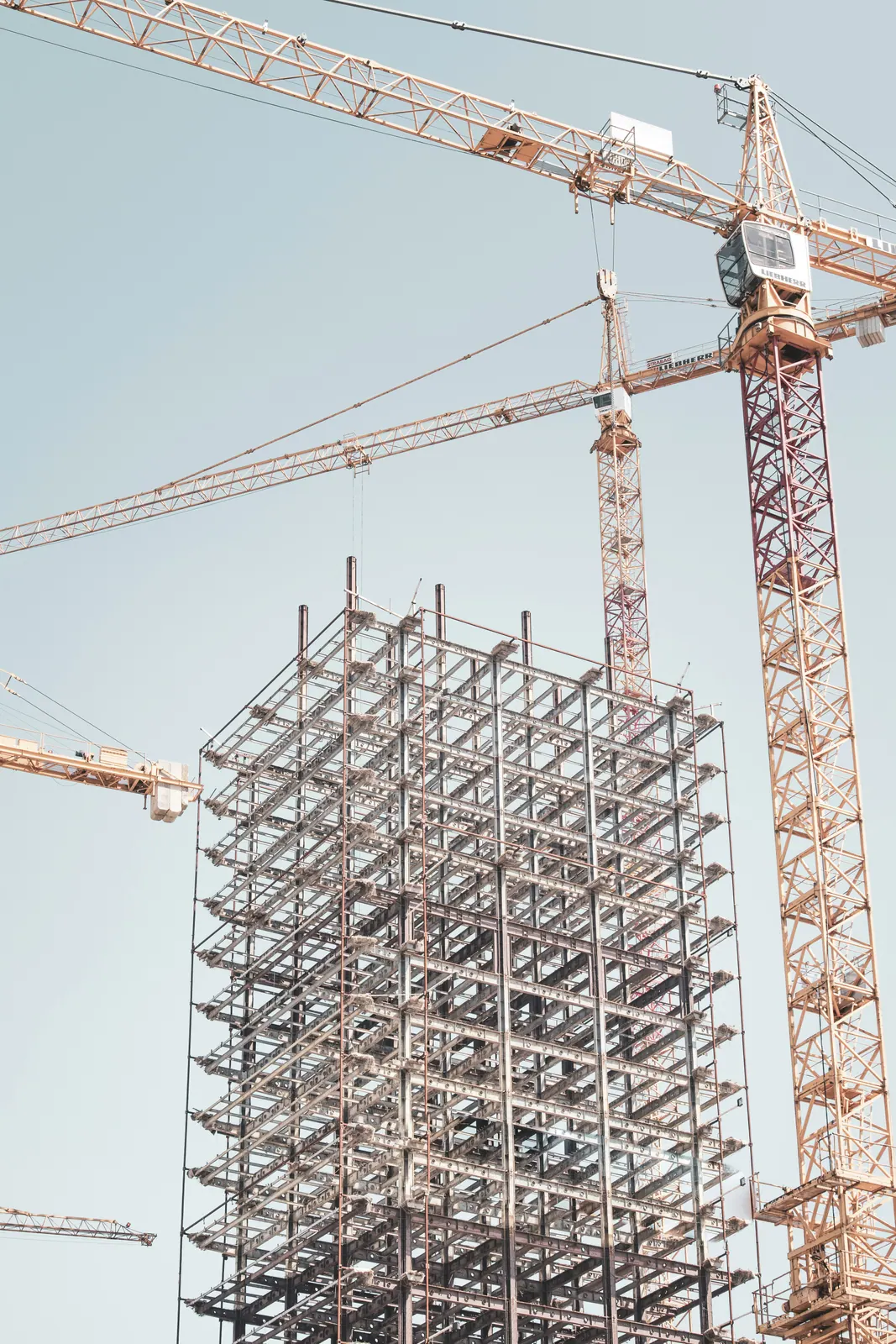 Tower cranes over a steel frame under construction